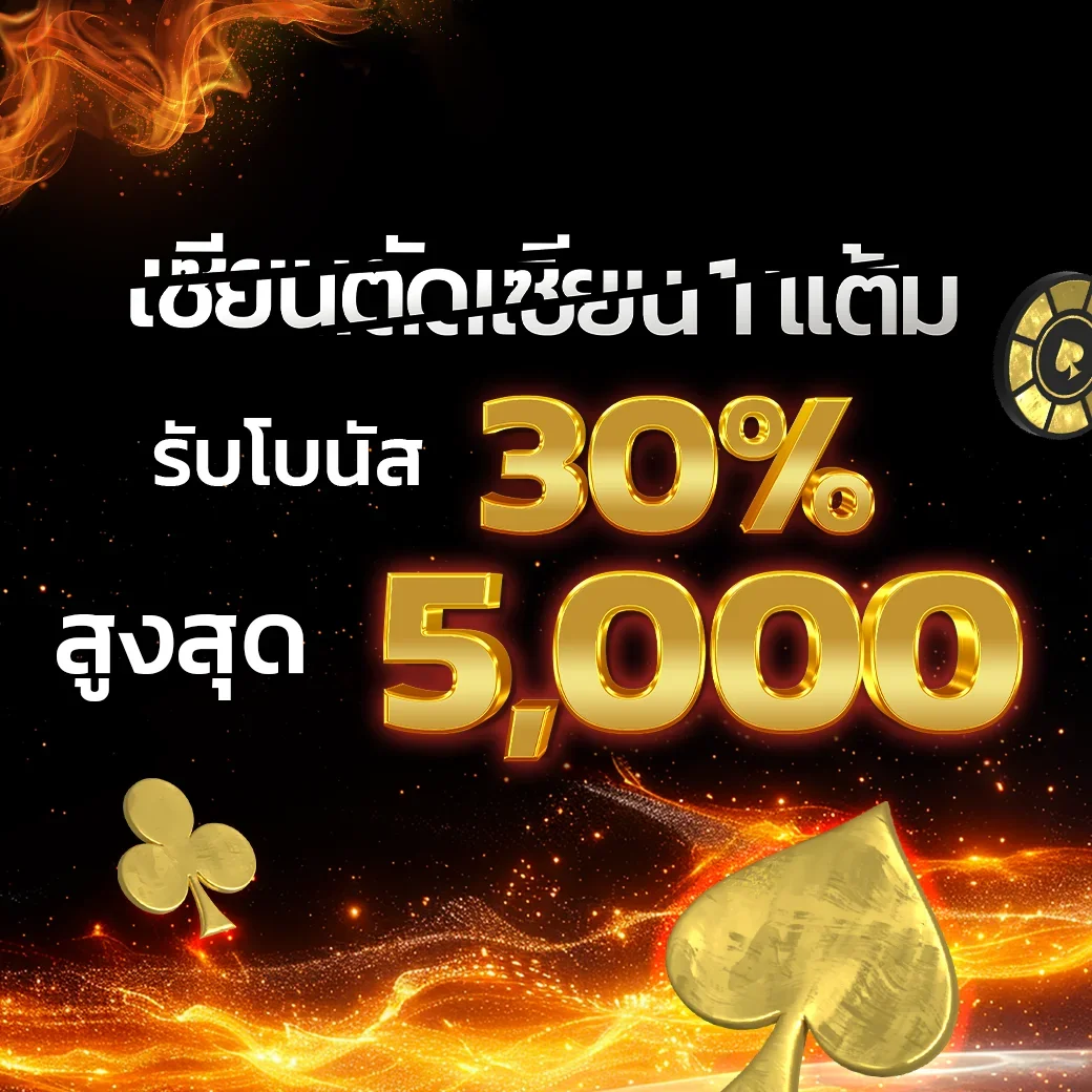 ฟีเจอร์เด่น