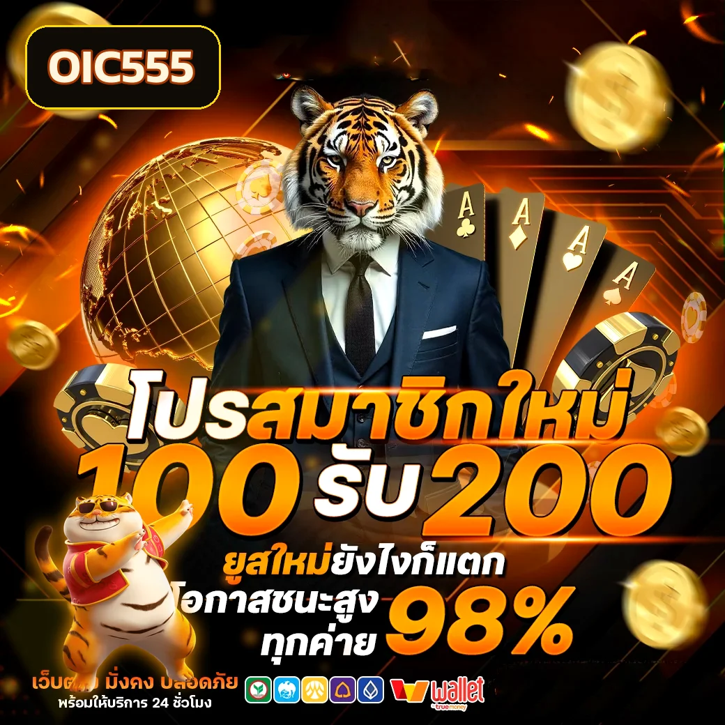 ฟีเจอร์เด่น